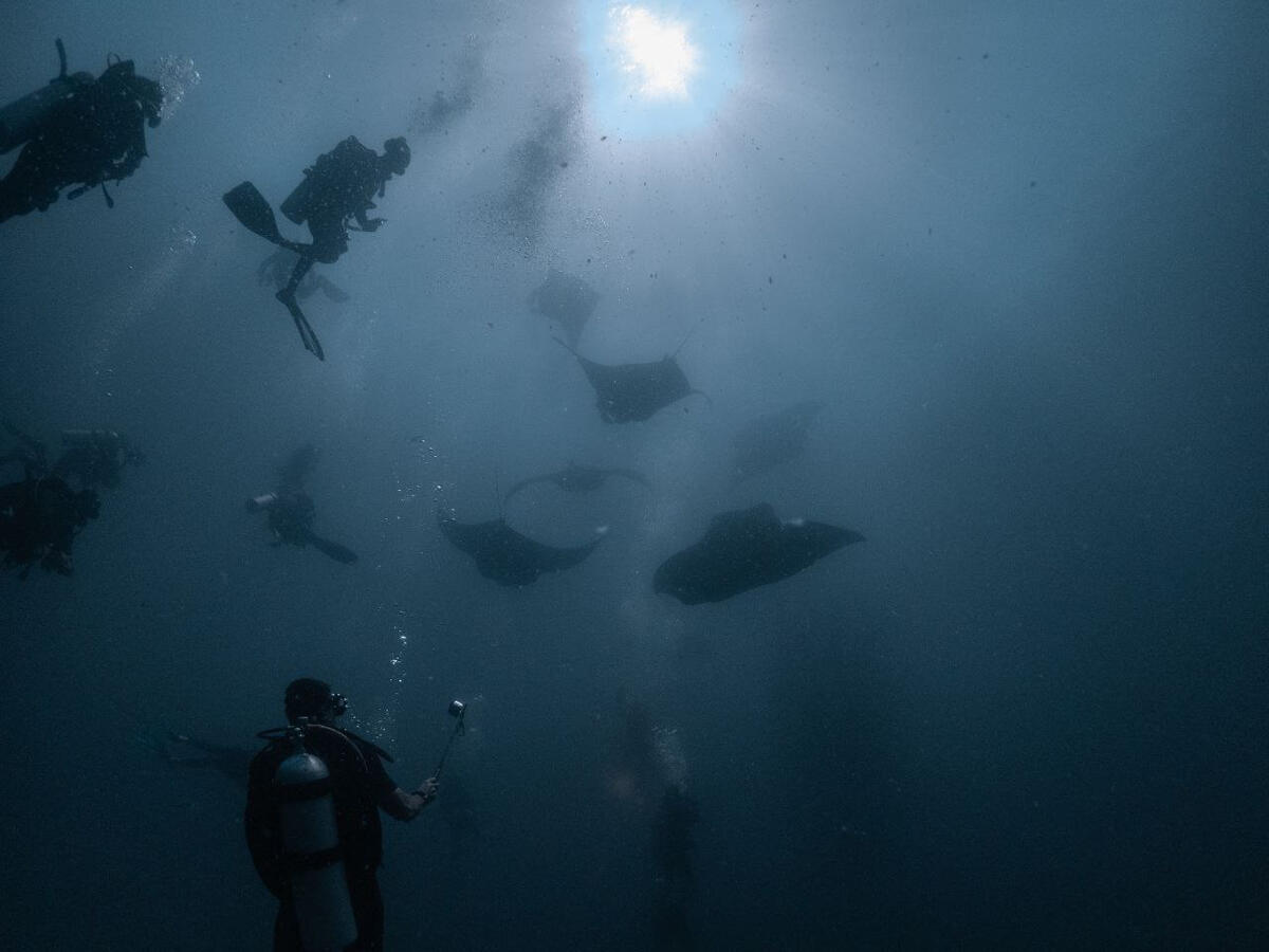 Grupo (foto @angel_scubadiver)